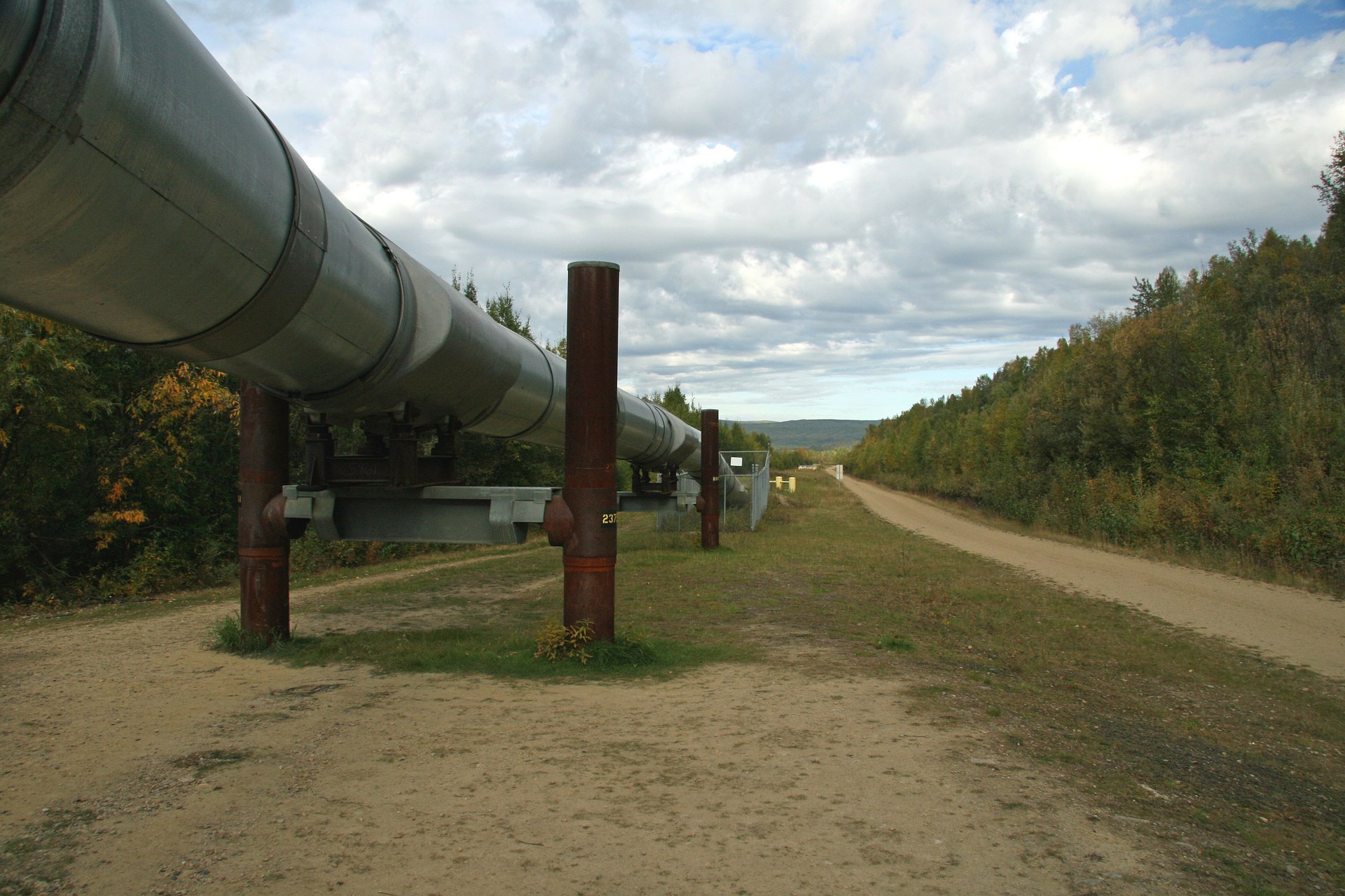 alaska-67304_1920 (1)